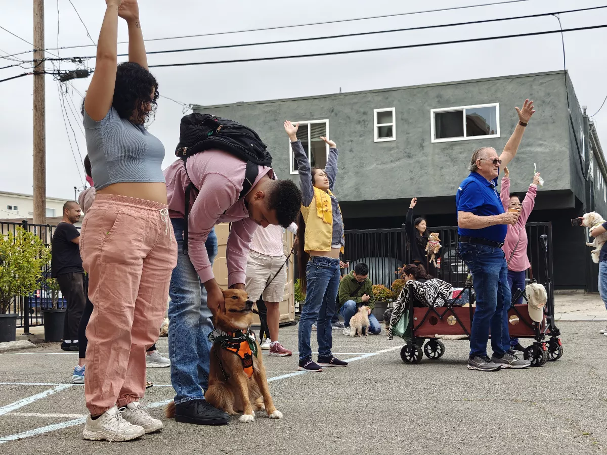 Hsi Fang Temple Fur Baby Walking and Blessing Ceremony: Connecting the Community of University Heights